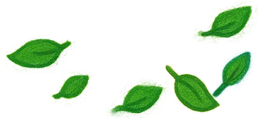 Листья - изучаем английский язык вместе с Timmykid